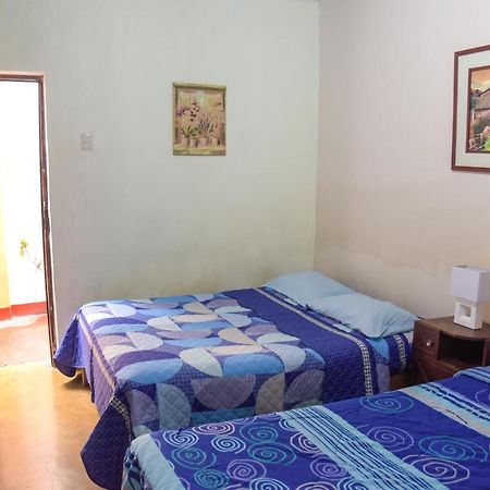 Brabant Hostal Nazca Exterior foto